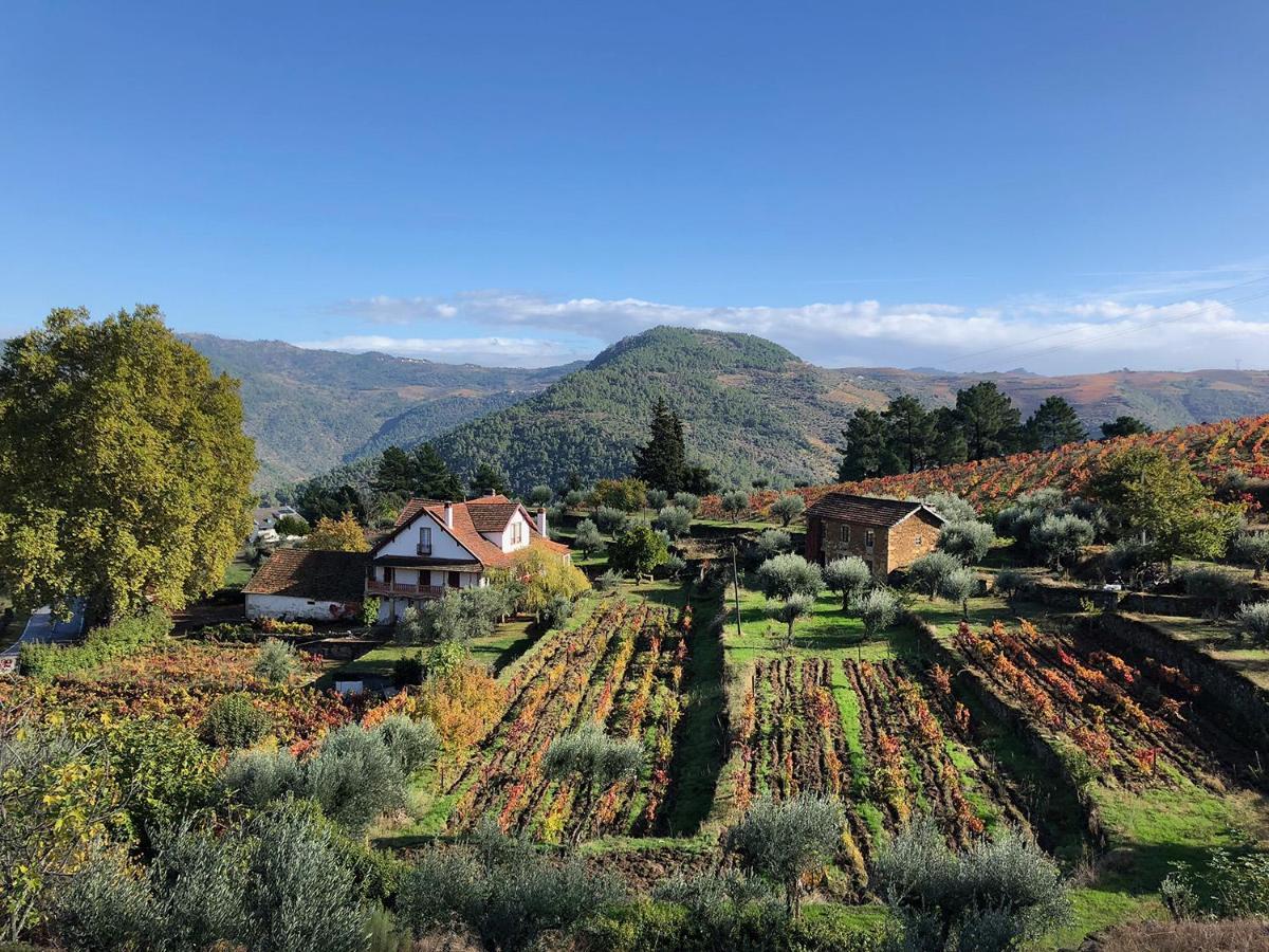 Quinta Vila Rachel - Winery Sao Mamede de Ribatua Exterior photo